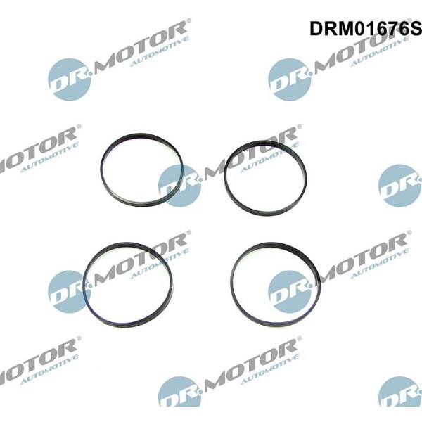 Packningssats, insug, grenrör Dr.motor automotive DRM01676S Dr.Motor Automotive
