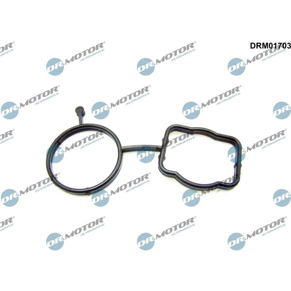 Packning, termostathus Dr.motor automotive DRM01703 Dr.Motor Automotive