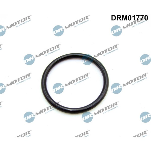 Packning, insugsgrenrör Dr.motor automotive DRM01770 Dr.Motor Automotive