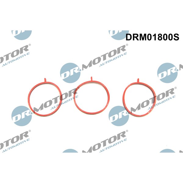 Packningssats, insug, grenrör Dr.motor automotive DRM01800S Dr.Motor Automotive