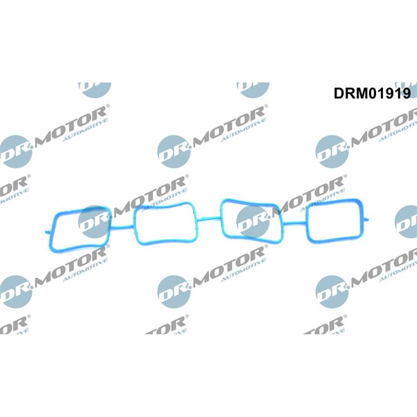 Packning, insugsgrenrör Dr.motor automotive DRM01919 Dr.Motor Automotive