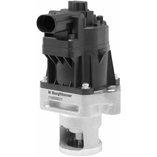 Egr-ventil Borgwarner (wahler) 710559D BorgWarner (Wahler)