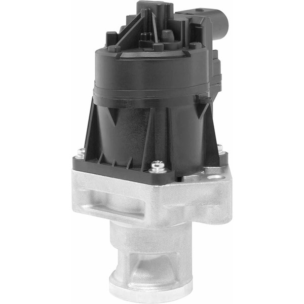 Egr-ventil Borgwarner (wahler) 710559D BorgWarner (Wahler)