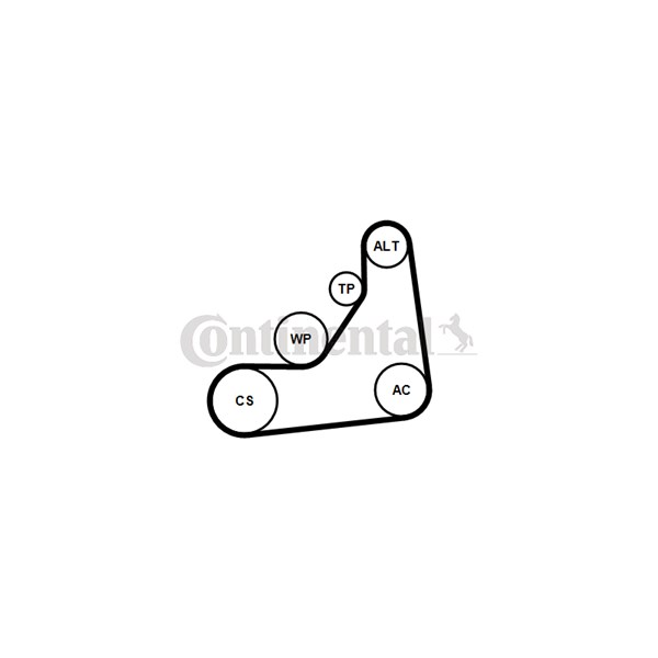 Drivremsats Contitech 6PK1153K5 CONTITECH