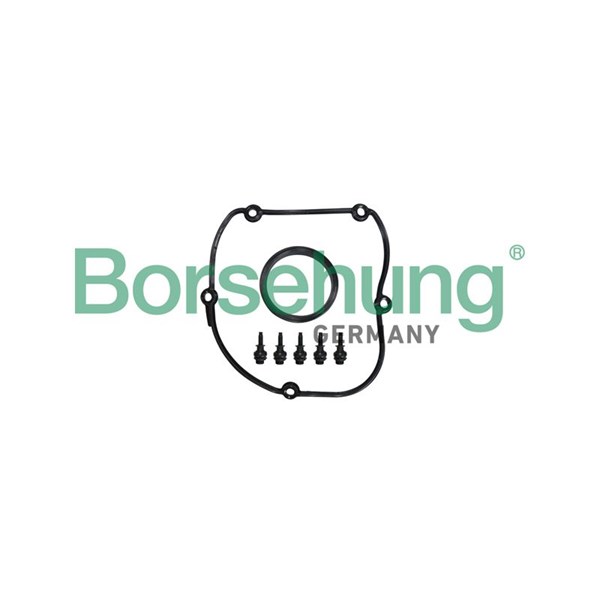 Packning, kamremskåpa Borsehung B10629 Borsehung