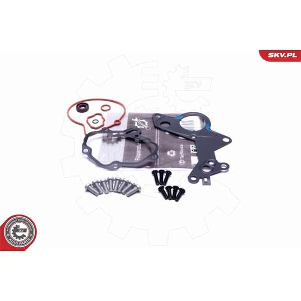 Rep.sats, vakumpump (bromsar) Esen skv 18SKV801 ESEN SKV