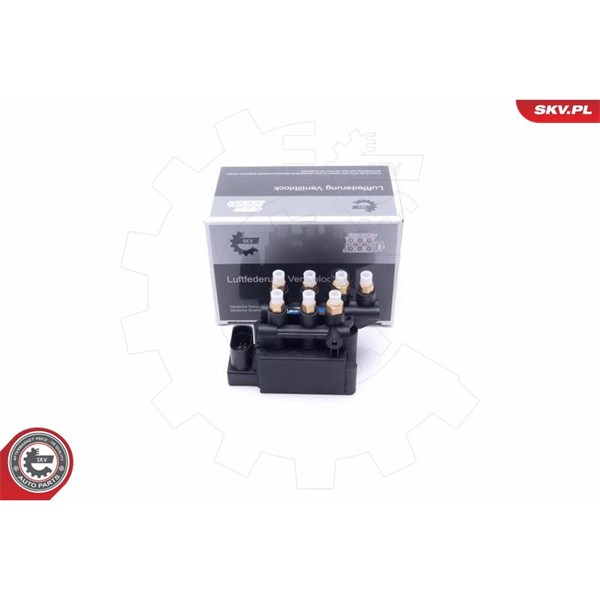 Ventil, kompressorsystem Esen skv 93SKV809 ESEN SKV