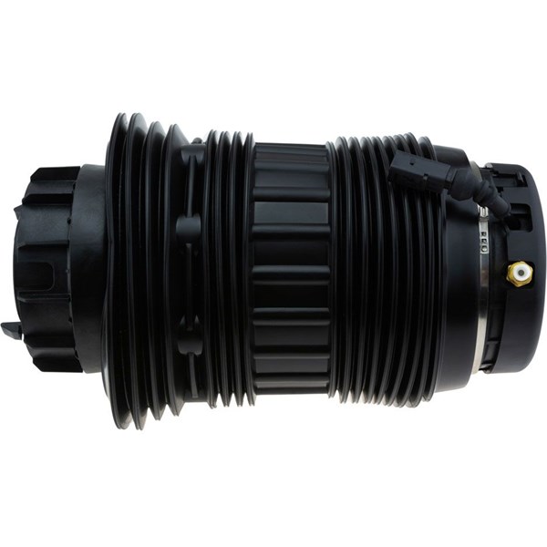Luftfjäder, hjulupphängning, Bakaxel, båda sidor Nty EZC-PS-011 NTY