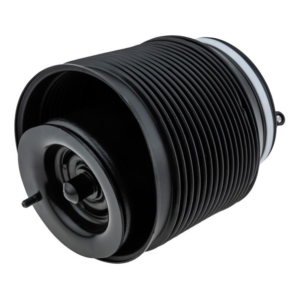 Bälgar, luftfjädring, Vänster bak Nty EZC-TY-065 NTY