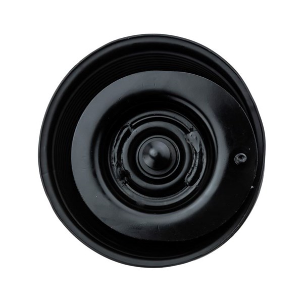 Bälgar, luftfjädring, Vänster bak Nty EZC-TY-065 NTY