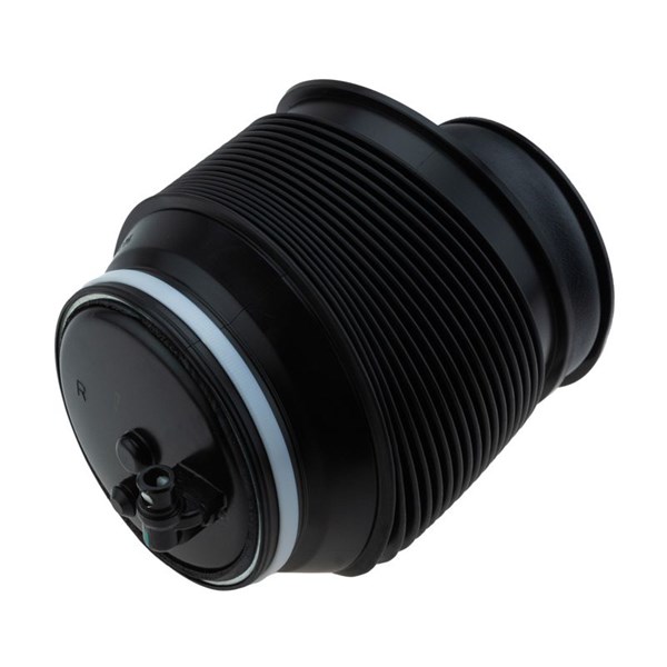 Bälgar, luftfjädring, Höger bak Nty EZC-TY-066 NTY