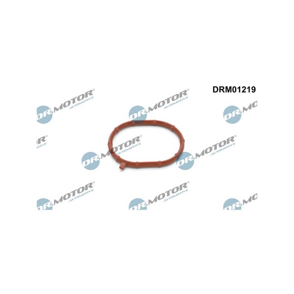 Ringpackning, överladdare Dr.motor automotive DRM01219 Dr.Motor Automotive