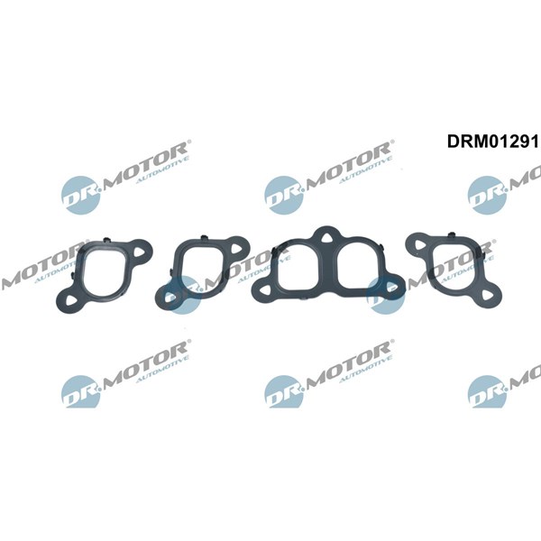 Packningssats, insug, grenrör Dr.Motor Automotive