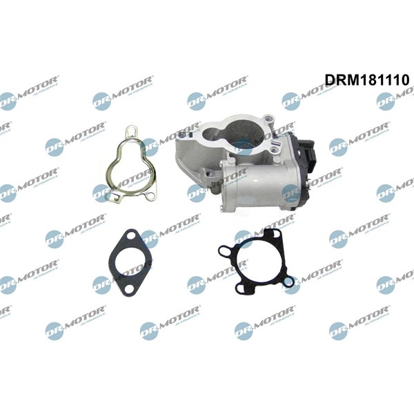 Egr-ventil Dr.motor automotive DRM181110 Dr.Motor Automotive