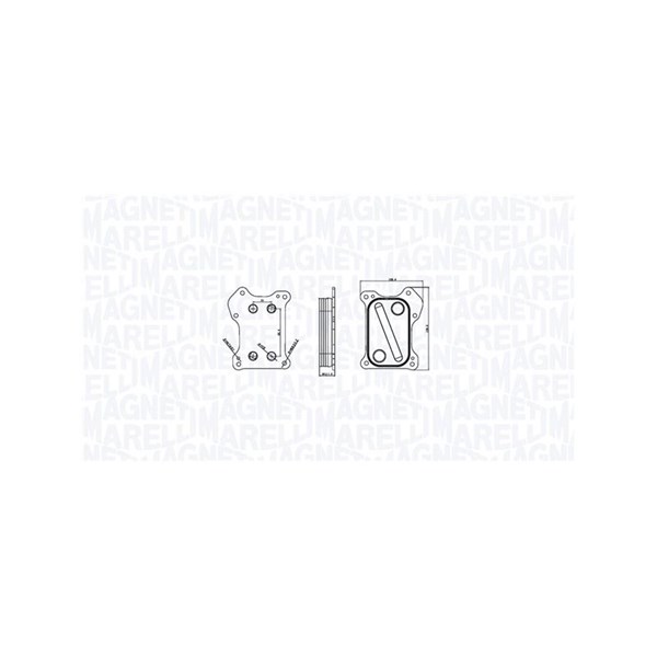 Oljekylare, motor Magneti marelli 350300000800 MAGNETI MARELLI