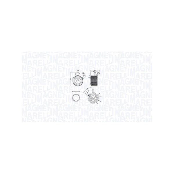 Oljekylare, motor Magneti marelli 350300002900 MAGNETI MARELLI