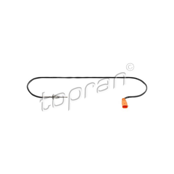 avgastemperatur Sensor,