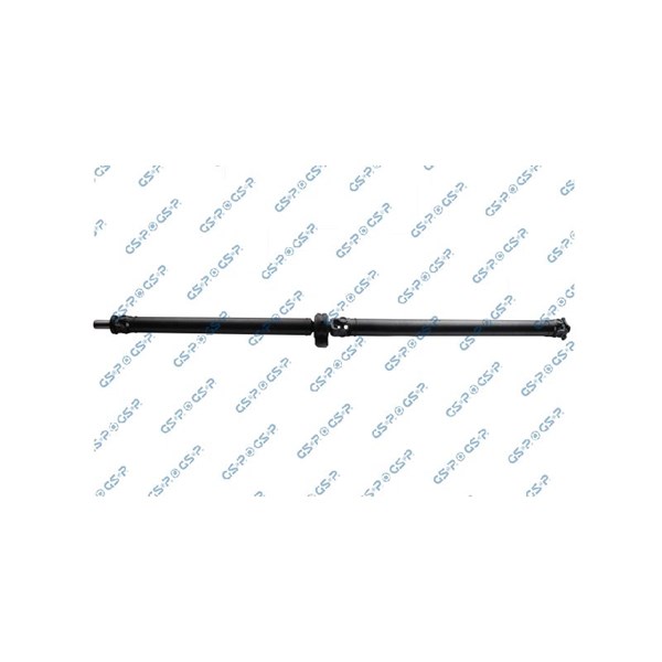 Kardan, Bak Gsp PS900260 GSP