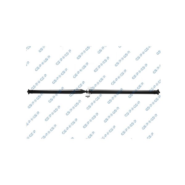 Kardan, Bak Gsp PS900551 GSP