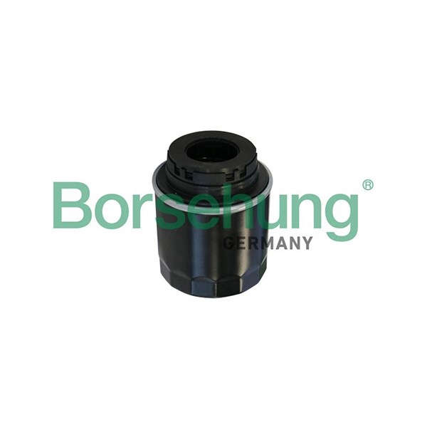 Oljefilter Borsehung