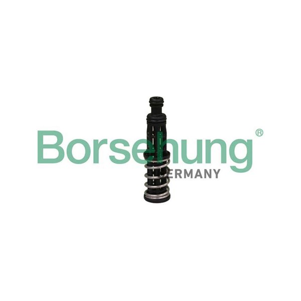 Oljetrycksventil Borsehung B12309 Borsehung