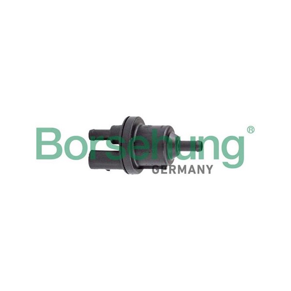 Ventil, aktivtkolfilter Borsehung B12317 Borsehung