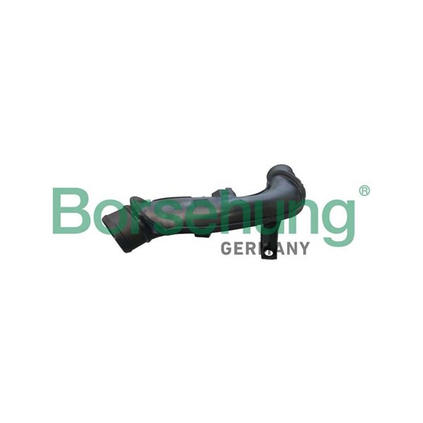 Laddluftslang Borsehung B12349 Borsehung