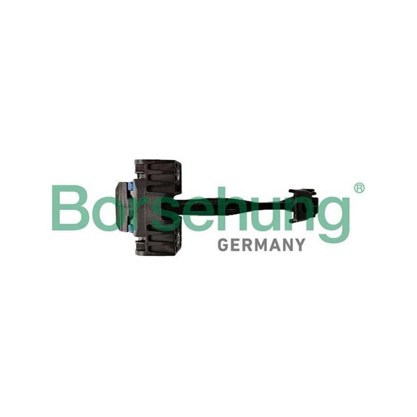 Dörrhållare, Bak Borsehung B12373 Borsehung