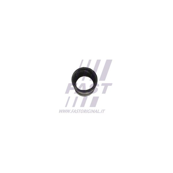 Packning, bränsleledning Fast FT48903 FAST Packning, bränsleledning Fast FT48903 FAST