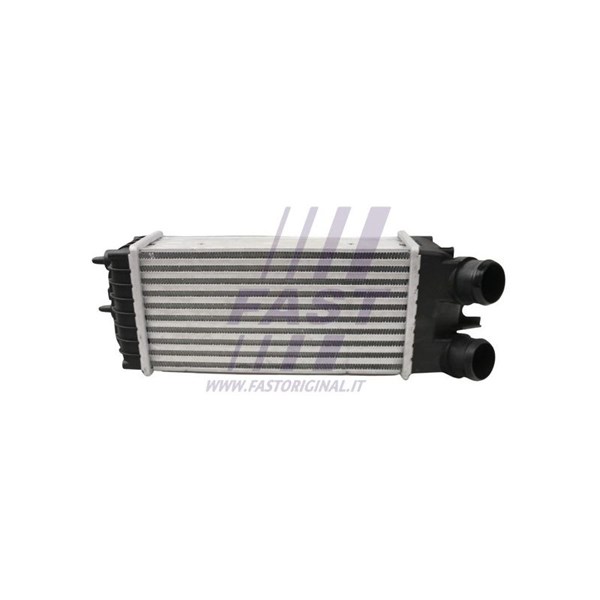 Intercooler Fast FT55600 FAST Intercooler Fast FT55600 FAST