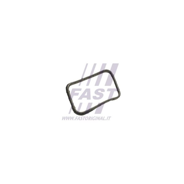 Packning, termostat Fast FT58302 FAST