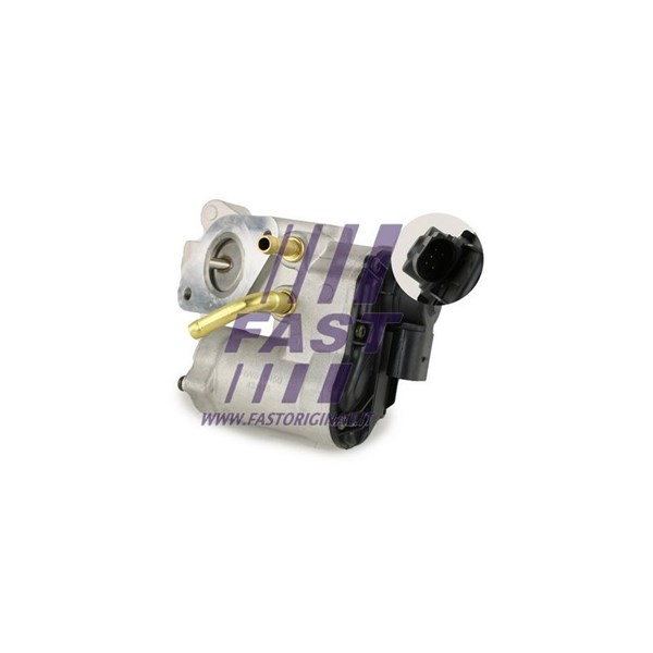 Egr-ventil Fast FT60208 FAST