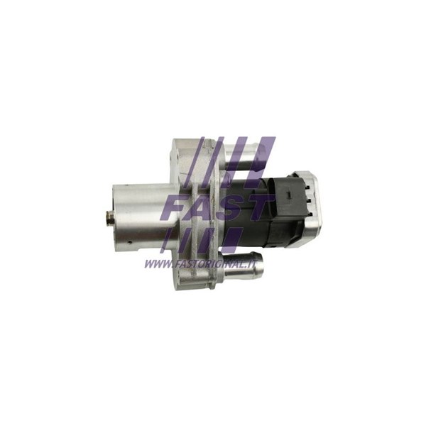Egr-ventil 12V Fast FT60219 FAST