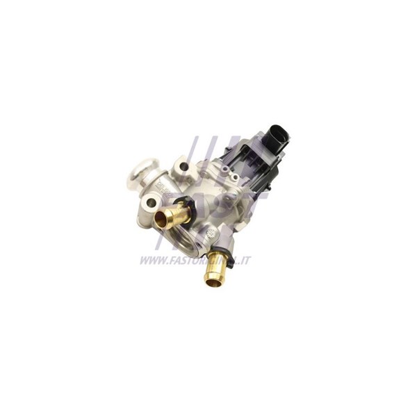 Egr-ventil 12V Fast FT60247 FAST