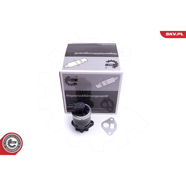 Egr-ventil Esen skv 14SKV210 ESEN SKV