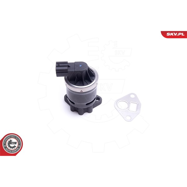 Egr-ventil Esen skv 14SKV210 ESEN SKV