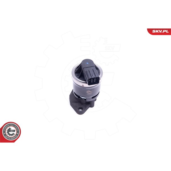 Egr-ventil Esen skv 14SKV210 ESEN SKV