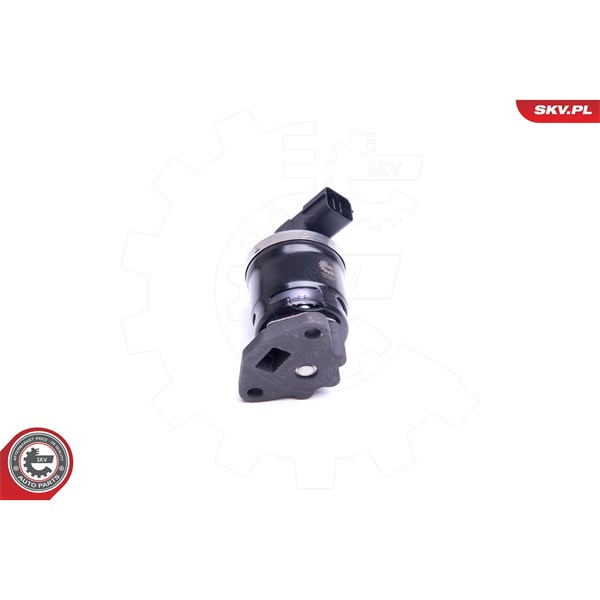Egr-ventil Esen skv 14SKV210 ESEN SKV