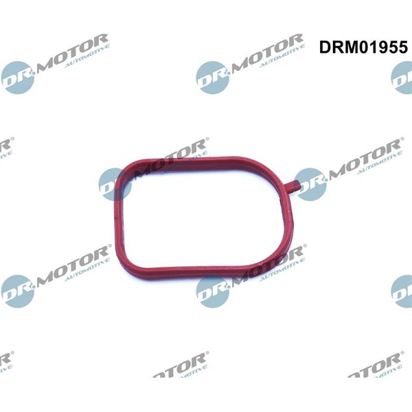 Packning, termostathus Dr.motor automotive DRM01955 Dr.Motor Automotive