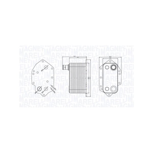 Oljekylare, motor Magneti marelli 350300004000 MAGNETI MARELLI
