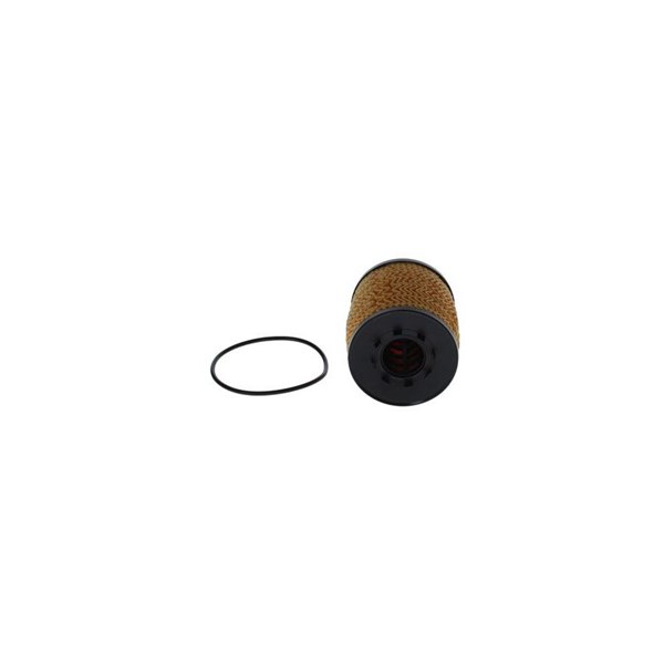 Oljefilter Bosch F 026 407 322 BOSCH