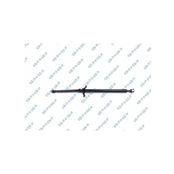Kardan, Bak Gsp PS900174 GSP