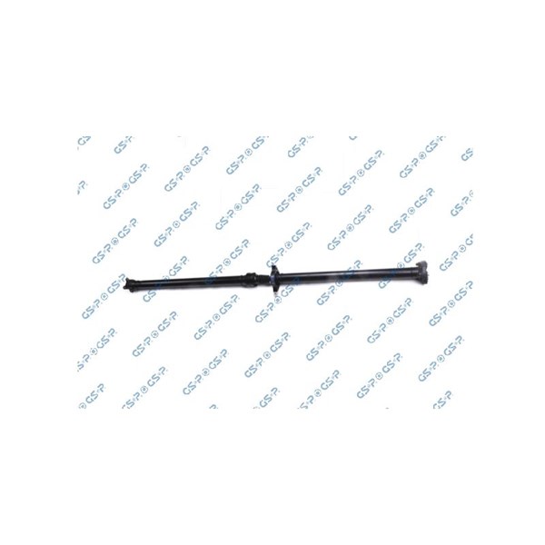Kardan, Bak Gsp PS900272 GSP