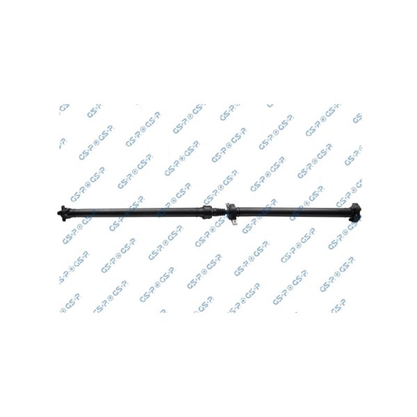 Kardan, Bak Gsp PS900272 GSP
