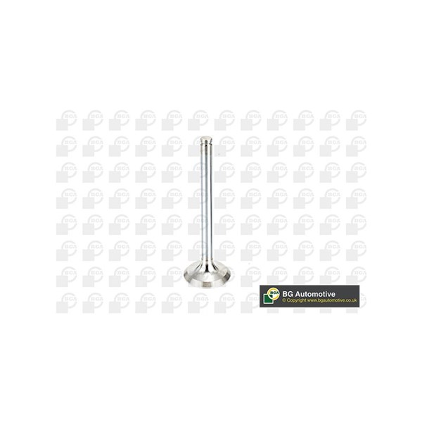 Avgasventil Bga V537851 BGA Avgasventil Bga V537851 BGA