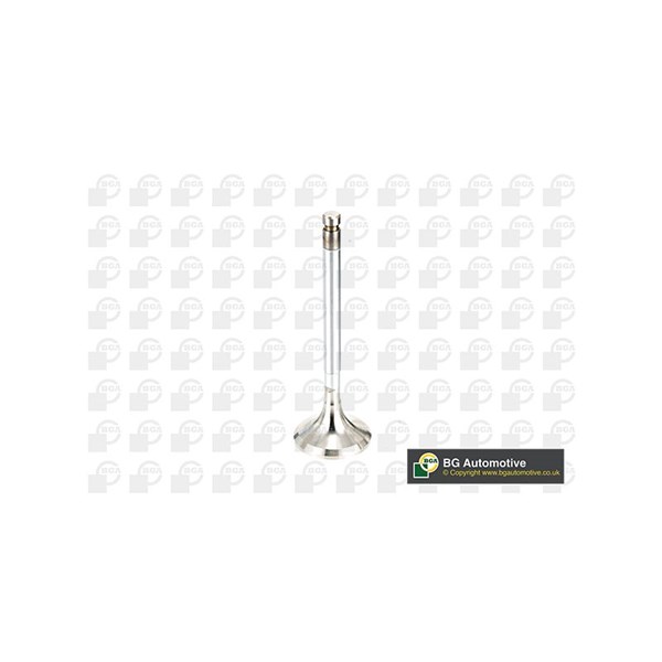 Avgasventil Bga V991716 BGA Avgasventil Bga V991716 BGA