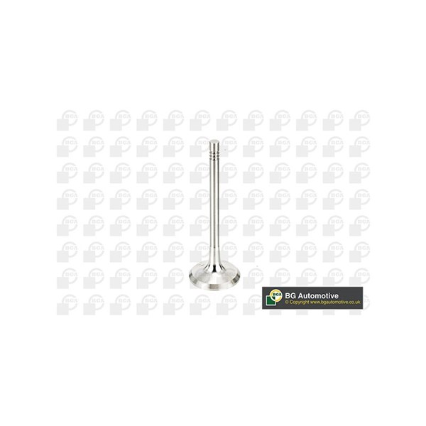 Avgasventil Bga V991760 BGA Avgasventil Bga V991760 BGA