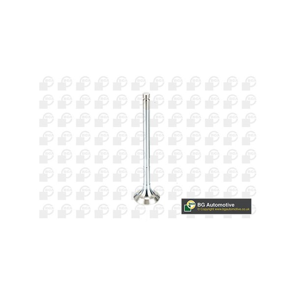 Avgasventil Bga V991909 BGA