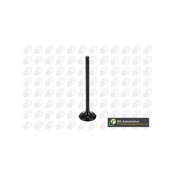 Avgasventil Bga V998746 BGA Avgasventil Bga V998746 BGA