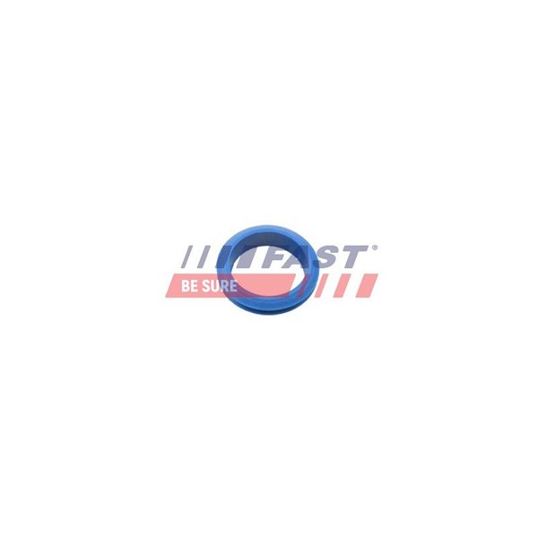 Packning, oljesticka Fast FT48955 FAST